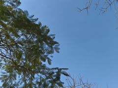 -西湖文化广场