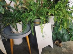 -隹木咖啡馆(宝龙广场店)