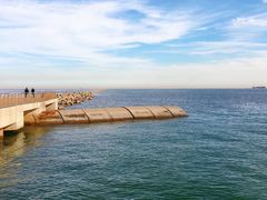 -东疆建设开发纪念公园