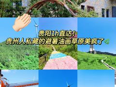 -龙里油画大草原旅游区