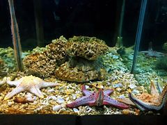 -苏州海洋馆