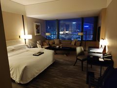 -成都尼依格罗酒店