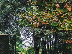 -乐山大佛风景名胜区乌尤寺南门-售票点