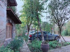 酸菜龙利鱼柳-驿舍·民國老营房院子私房菜(科学会堂店)