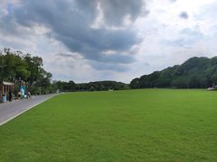 -昆山城市生态森林公园