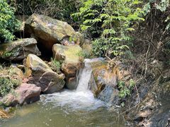-鼎湖山风景区