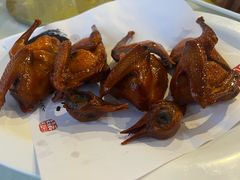 -云中小雅
