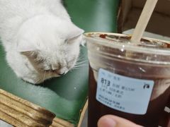 -猫小院猫主题餐厅(南锣旗舰店)