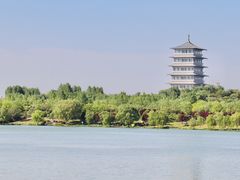 -灞河西岸滨河公园