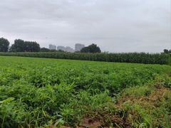 -东戴河风景区-止锚湾