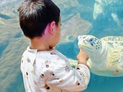 -海合安武汉极地海洋公园