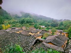 -杨家堂村