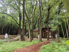 -同里国家湿地公园