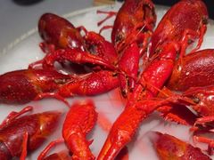 -红盔甲·小龙虾(天钥桥店)