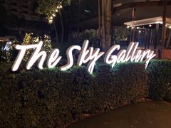 -网红落日悬崖餐厅 The Sky Gallery