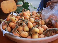 -成都中医药大学(温江校区)