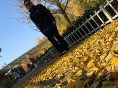 -大兴滨河森林公园