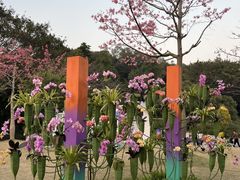-云溪植物园