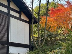 -中国茶叶博物馆(双峰馆区)