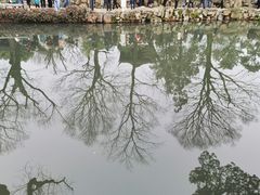 -拙政园