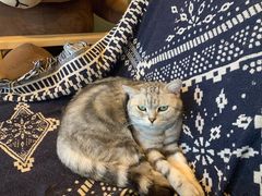 -平行世界·猫咖(首经贸店)