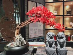 -湊湊火锅·茶憩(东城万达店)