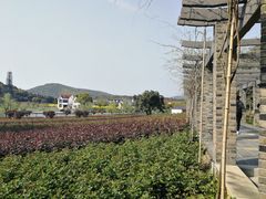 -龙寺生态园