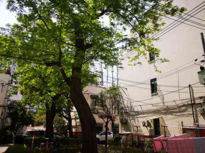 锦园(愚园路)-"不错的地方,据说拍出了天价很好的很贵.