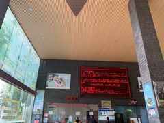 -瑞丽独树成林风景区