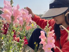 -广东花都香草世界旅游度假区