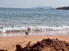 -青岛第二海水浴场