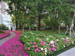 -北外滩滨江绿地