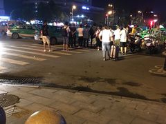 -阜阳站
