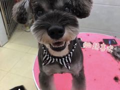 -宠屋宠物美容店