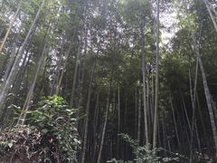 -众神白水涧景区