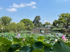 -无锡蠡湖国家湿地公园-蠡园