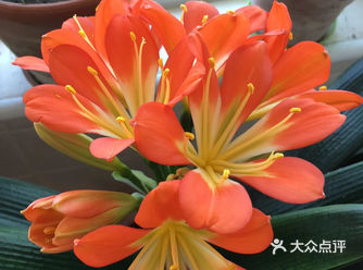 自由自在的享受五彩缤纷的生活