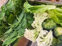 -金鼎雪山牦牛杂火锅(理县总店)