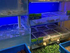 水产区-启东小海鲜(庄先湾路1号店)