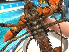 -喜来酌海鲜·饺子(和平一店)