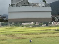 -长沙黑麋峰国家森林公园