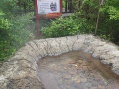 -天芳悦潭度假村温泉