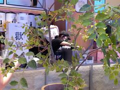 -茉莉奶白(广州动漫星城店)