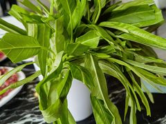 -一鼎牛鲜活牛肉城(晋江海峡国际食品城店)