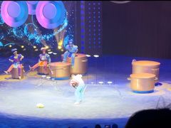 -珠海横琴长隆《卡卡虎奇遇记》