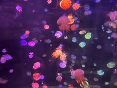 -邯郸海洋世界