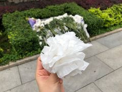 -十九路军淞沪抗日阵亡将士陵园