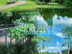 -香蜜公园