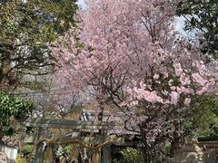 -京都御所