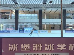 -冰堡国际溜冰场(观澜湖新城MHMALL店)
